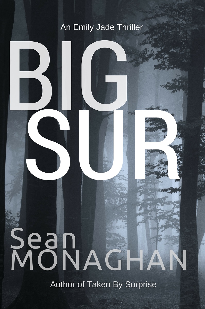 big sur cover sm