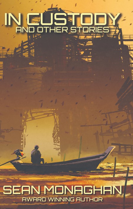 In custody cover 28621 ebook